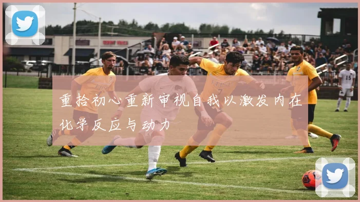 重拾初心重新审视自我以激发内在化学反应与动力