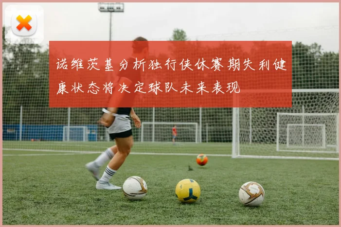 诺维茨基分析独行侠休赛期失利健康状态将决定球队未来表现