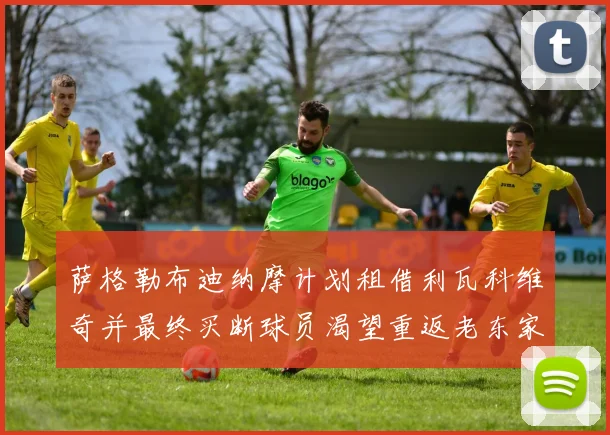 萨格勒布迪纳摩计划租借利瓦科维奇并最终买断球员渴望重返老东家