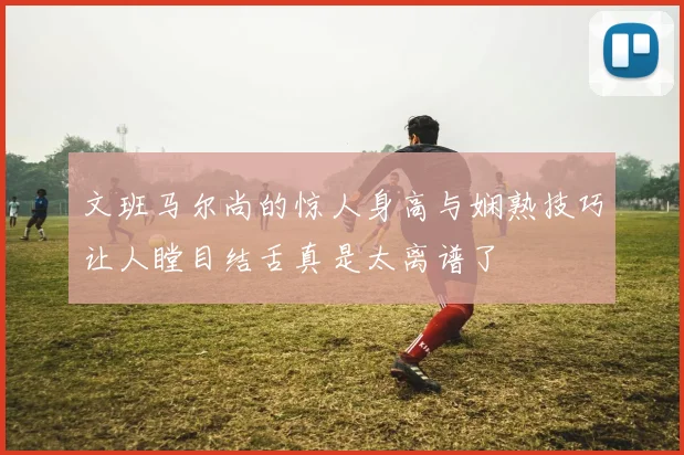 文班马尔尚的惊人身高与娴熟技巧让人瞠目结舌真是太离谱了