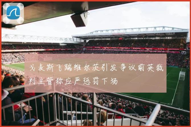 戈麦斯飞踹维尔茨引发争议前英裁判主管称应严惩罚下场