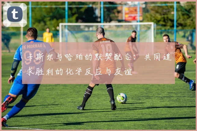 卡斯尔与哈珀的默契配合：共同追求胜利的化学反应与友谊